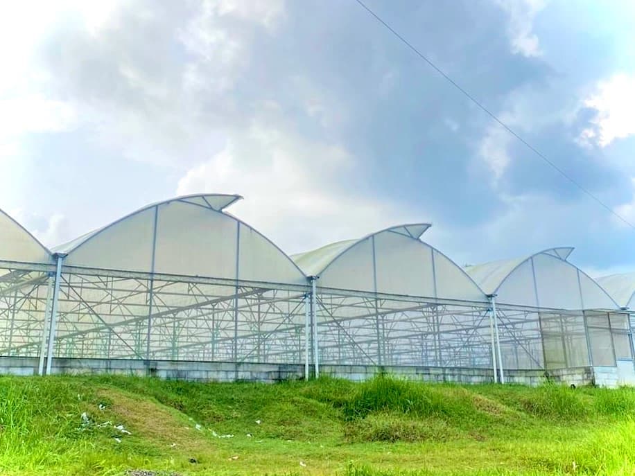Ladang Arunika Greenhouse